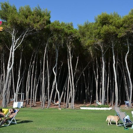 Bau Bau Beach Village Foce del Sele Zewnętrze zdjęcie