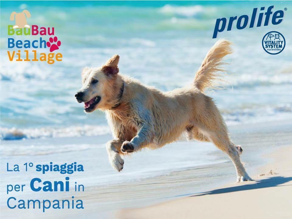 Bau Bau Beach Village Foce del Sele Zewnętrze zdjęcie